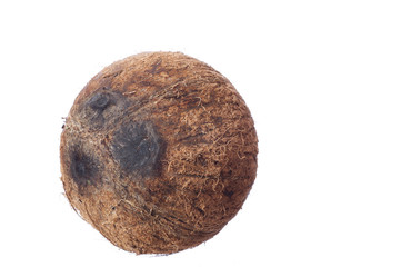 Fototapeta premium Coconut