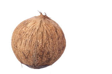 Coconut