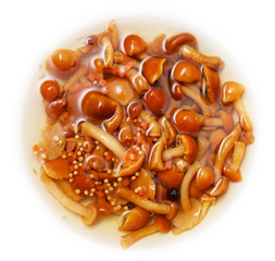 mushrooms on a white background