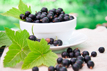 Fresh blackcurrant in white bowl