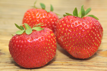 Erdbeere