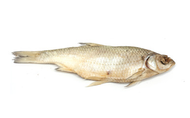 Dried fish on a white background