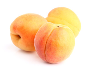 Fresh apricot