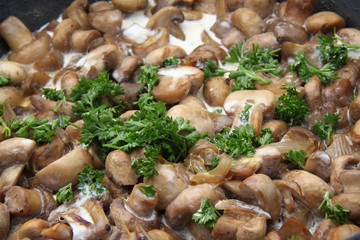 champignons de paris