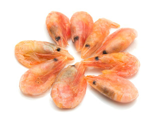 prawns on a white background