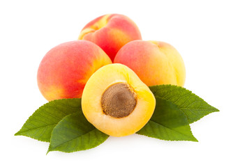 ripe apricots