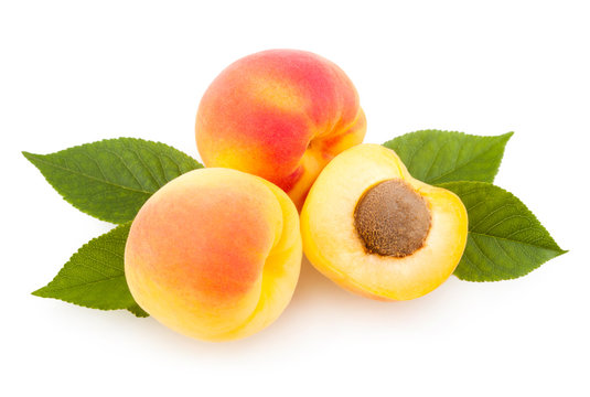ripe apricots