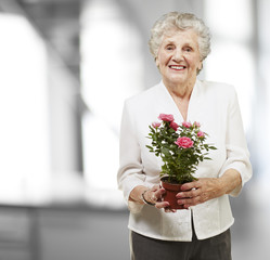 senior woman holding a flower pot, indoor