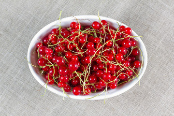 Red currant on the white bowl