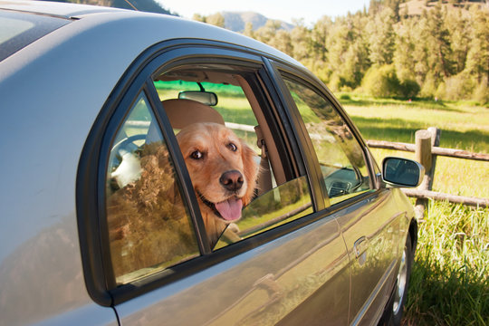 Car ride