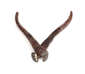 Obraz premium Nippers for wire and nails