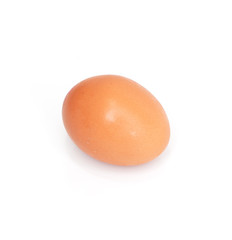 One egg on white background
