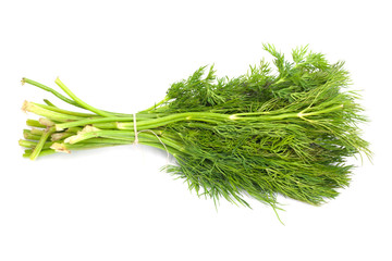 Bunch of ripe green dill isolated on white