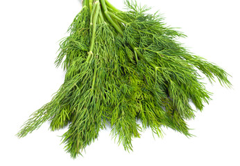 Bunch of ripe green dill isolated on white
