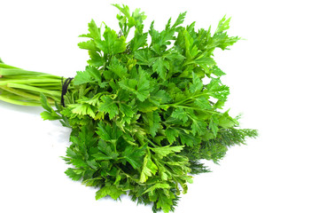 dill parsley to spices bunch isolated on white background