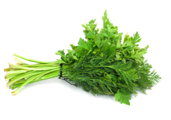 dill parsley to spices bunch isolated on white background