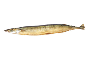 Smoked Saury on a white background