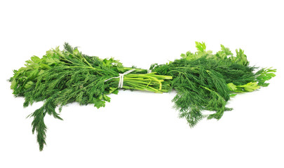 Dill and parsley isolated on a white background