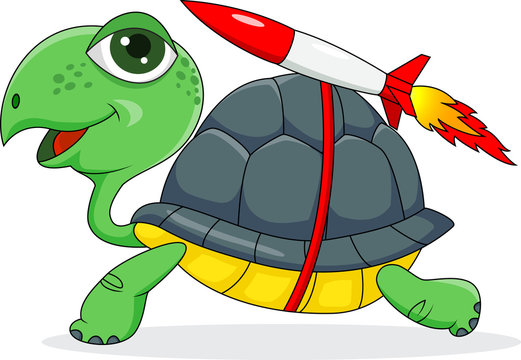 Turtle With A Rocket