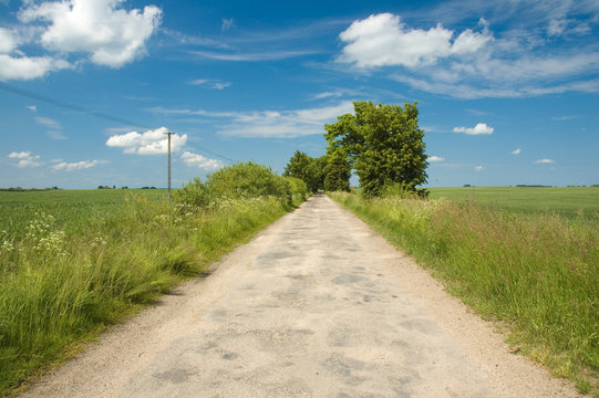 Country road