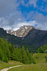 Val di Pejo - Parco Nazionale dello Stelvio