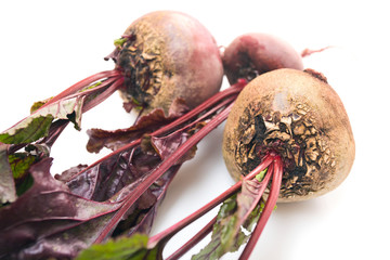 beet with leaves
