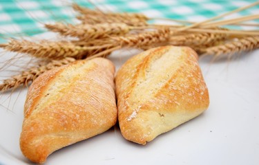 pane e spighe di grano