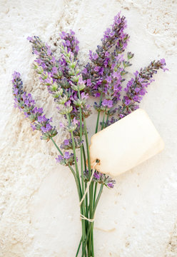 Fresh lavender with old paper tag