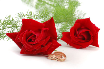 wedding rings and rose