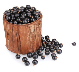 Black currant in wooden cup isolated on white
