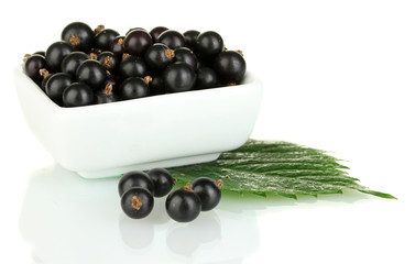Fresh black currant in white bowl isolated on white
