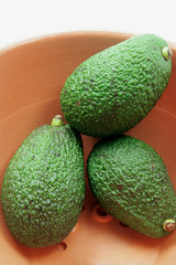 Avocados in Bowl