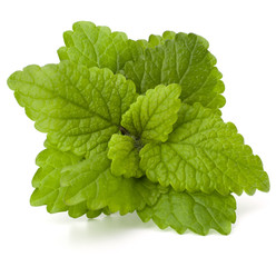 Peppermint or  mint bunch