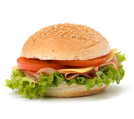 Junk food hamburger