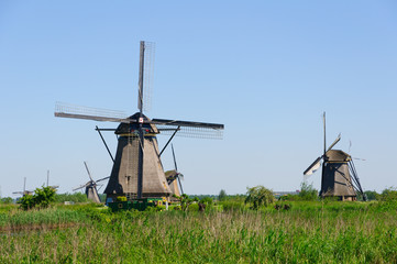 Fototapeta na wymiar Mill Network at Kinderdijk-Elshout, Netherlands