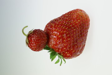 Erdbeeren