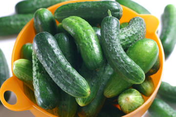 Cucumbers in a bowl