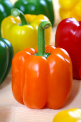 Colored bell peppers - obrazy, fototapety, plakaty