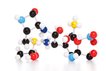 Molecular model