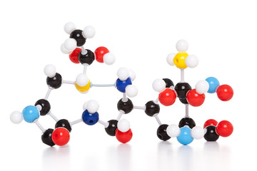 Molecular model