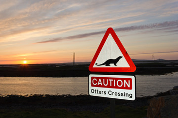 Otters Crossing