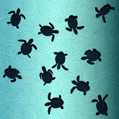 Baby Sea Turtles