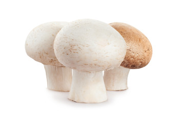 fresh mushroom champignon isolated on white background