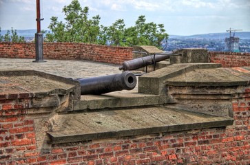 The Castle guns