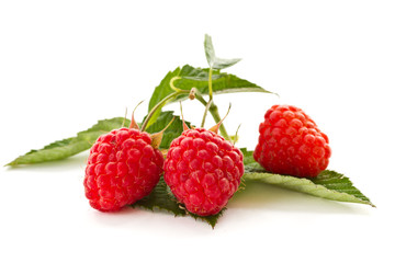 raspberry