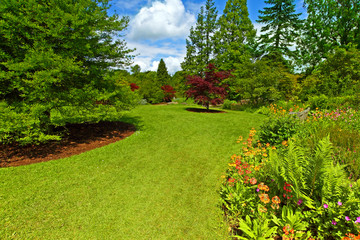 Fototapeta premium Garden landscaping, Srpingtime