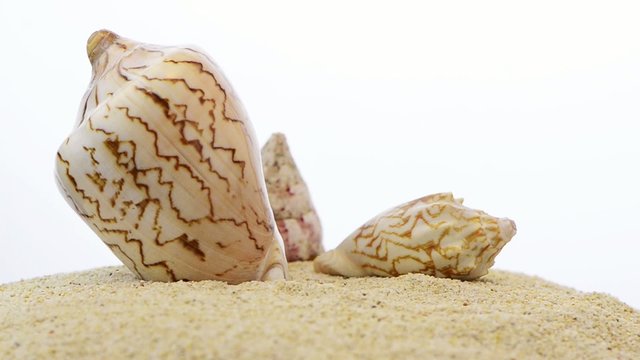 Rotating shells