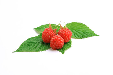 raspberry