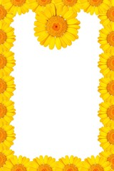 Border with yellow flowers.