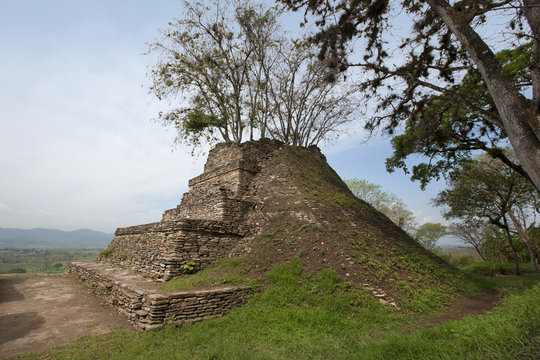 trees iup to maya ruins Tonina, Maxico